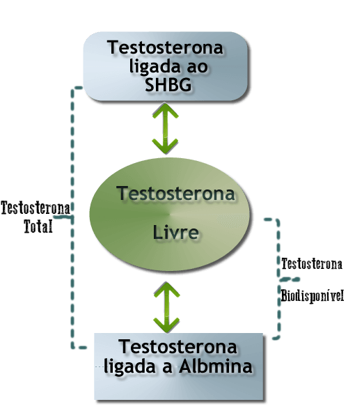 testosterona livre